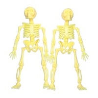 Mini Plastic Skeletons - Pk 2