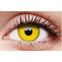 Yellow Contact Lens (3-Month)