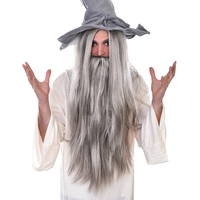 Wizard's Long Grey Wig & Beard
