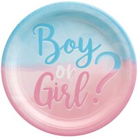 The Big Gender Reveal Plastic Tablecover (137x243cm)