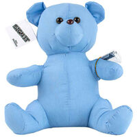 Blue Signature Teddy Bear