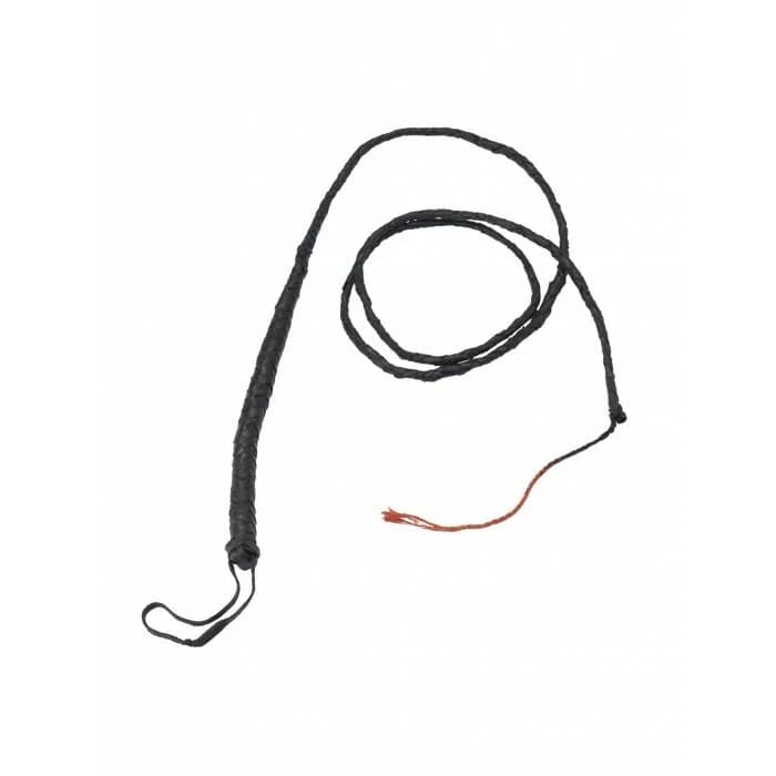 Long Bull Whip