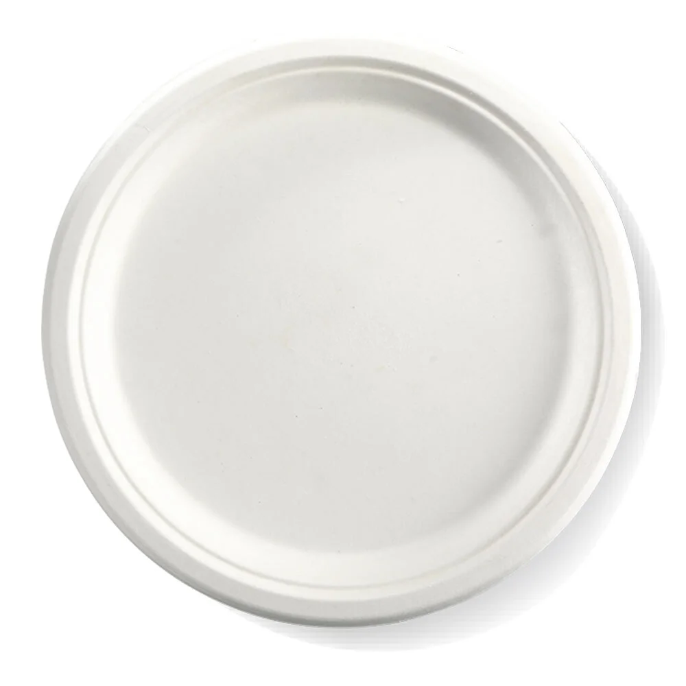 Bioplate - 25cm Large Dinner Plates - Pk 50