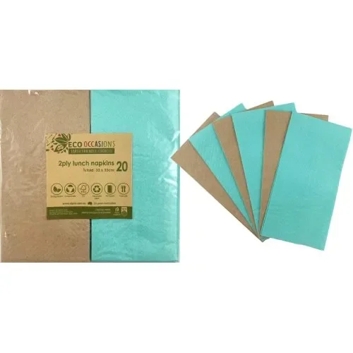 Lunch Napkins (2ply) - Mint & Kraft - Pk 20