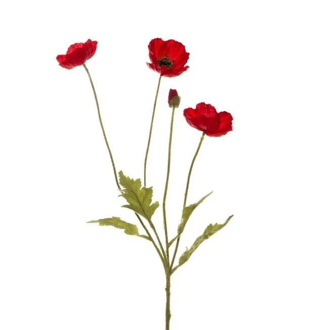 Red Poppy with Black Centre - 4 heads (includes 1 bud)