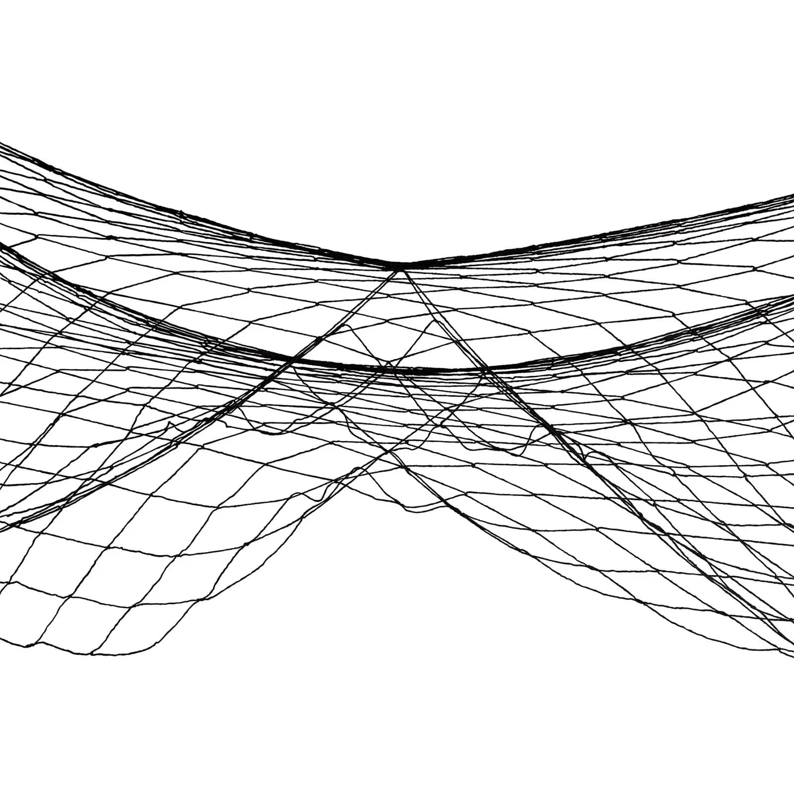 Black Fish Netting