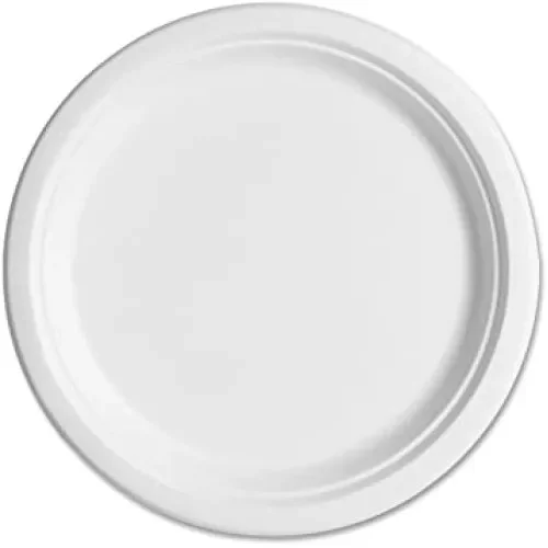 White Sugarcane Paper Plates (23cm) - Pk 10