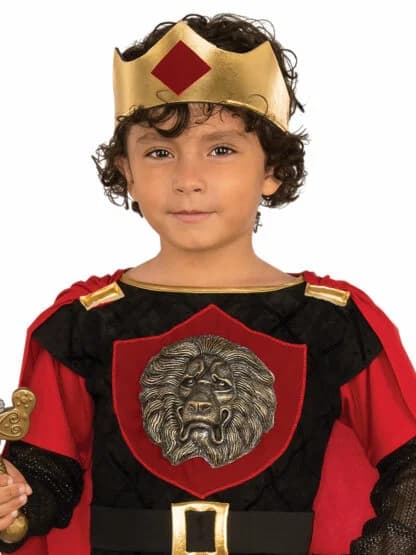 Kids Little Knight Costume