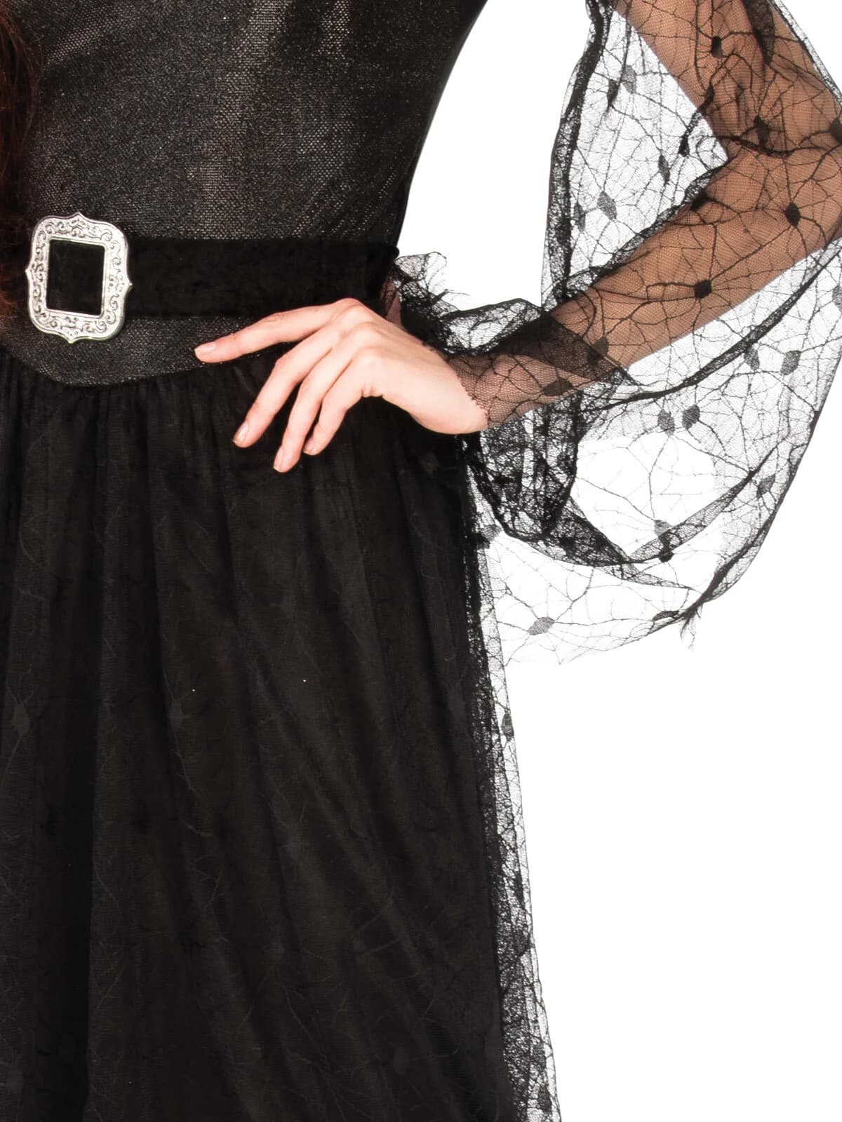 Adult Witch Of Darkness Costume