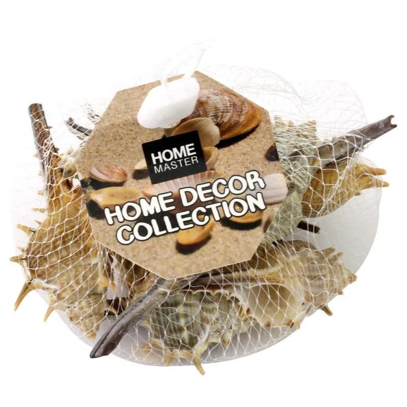 Decorative Brown Seashells (100g)