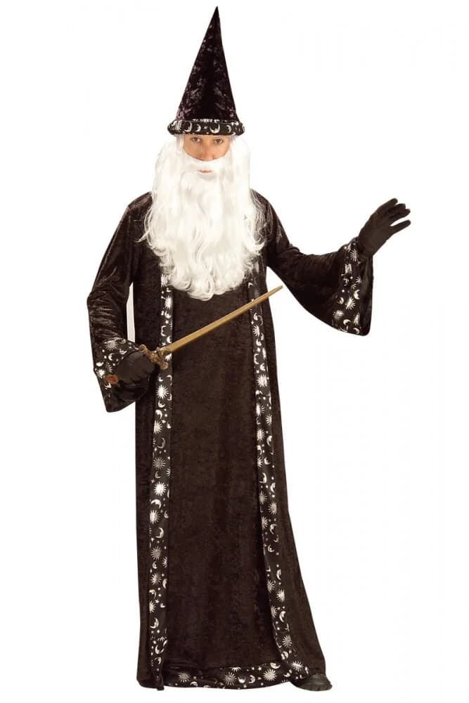 Adults Mr. Wizard Costume