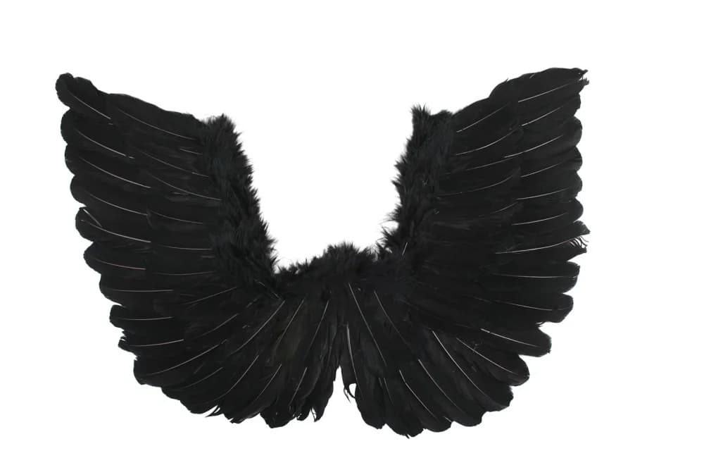 Pointed Black Angel Wings (50x40cm)