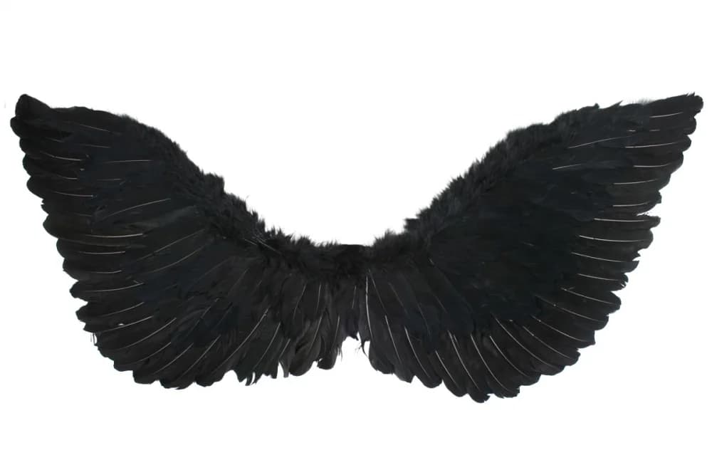 Folded & Pointed Black Angel Wings (70x30cm)