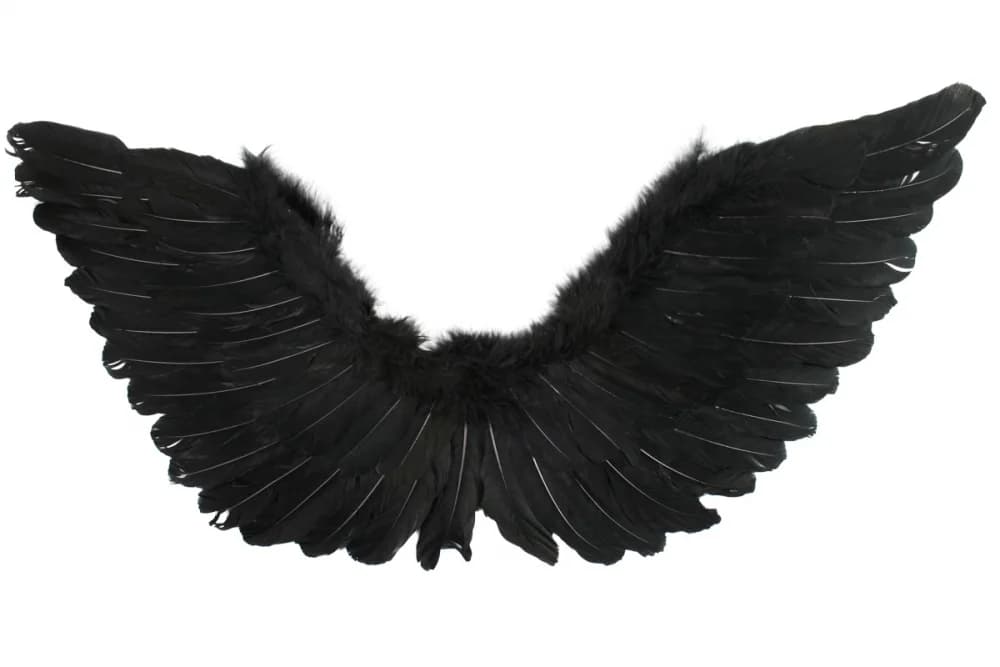 Black Angel Wings Large 90 x 50cm