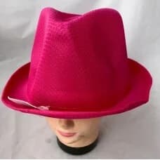 Asstd. Colours Adults Lightweight Fedora