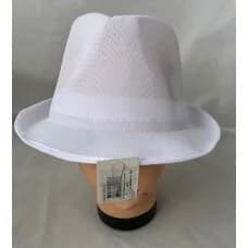 Asstd. Colours Adults Lightweight Fedora