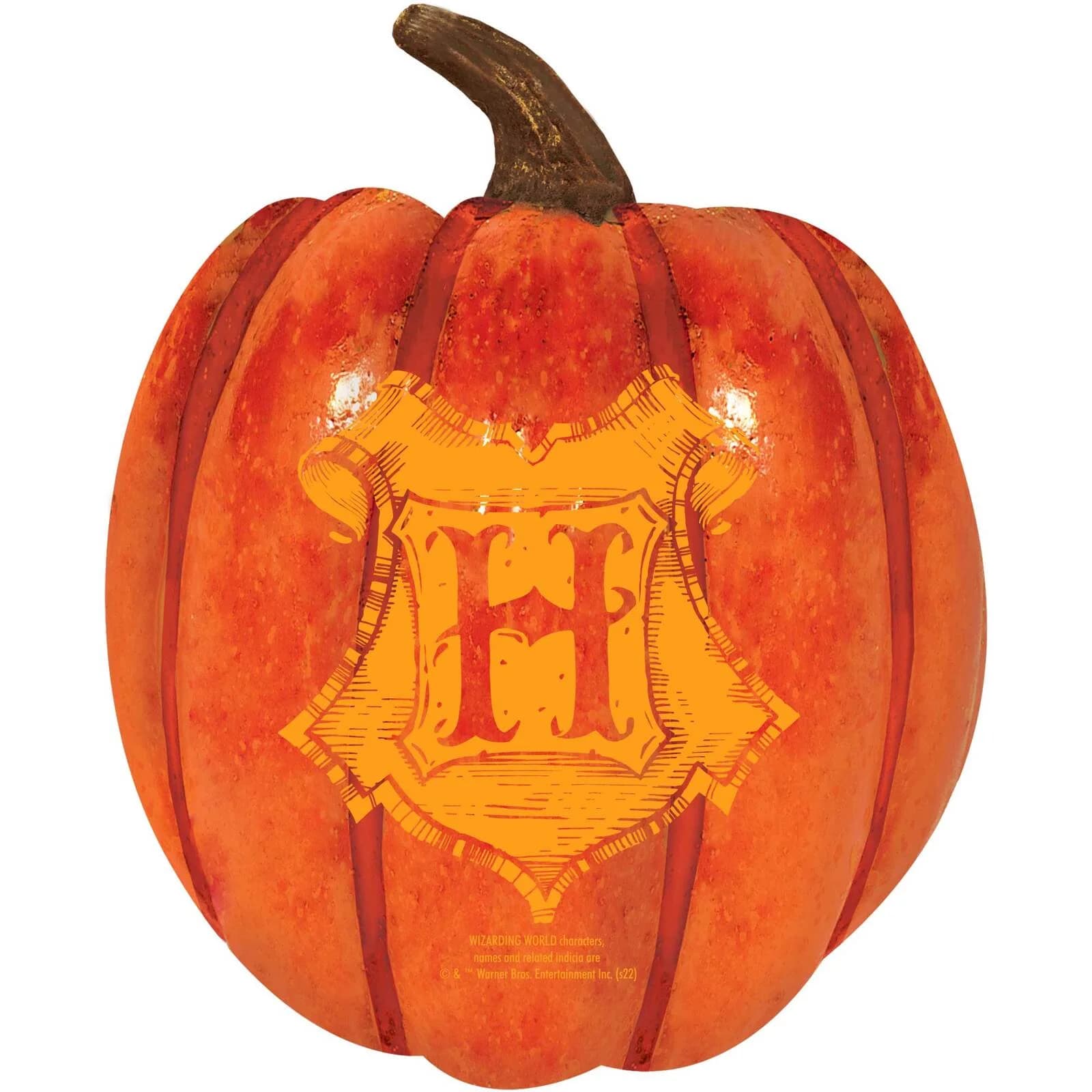 Harry Potter Halloween Pumpkin Prop