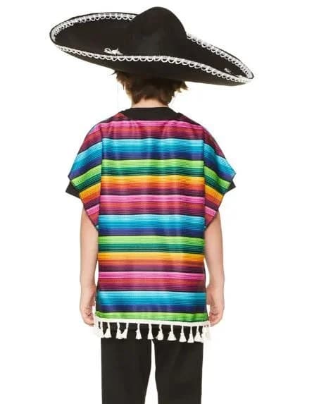 Kids Multicolour Stripe Poncho Costume