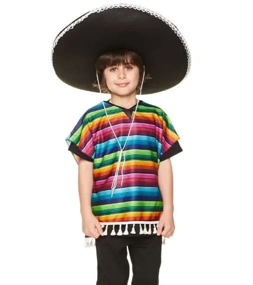 Kids Multicolour Stripe Poncho Costume