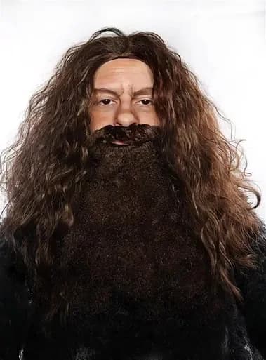 Long Brown Wig & Beard