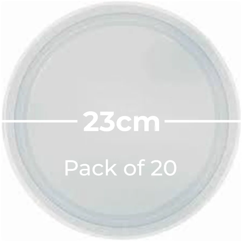 Paper Plates 23cm Round 20CT - Silver Pk 20