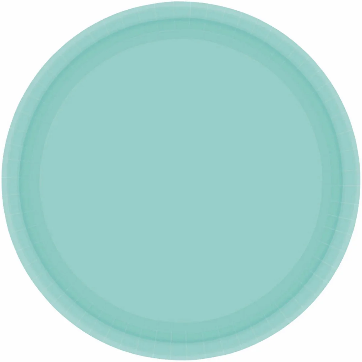 Paper Plates 23cm Round 20CT - Robin's Egg Blue Pk 20