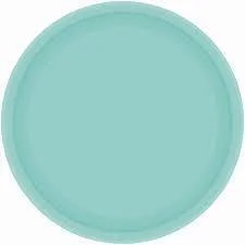 Paper Plates 17cm Round 20CT - Robin's Egg Blue Pk 20