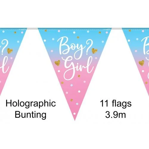 Boy or Girl Gender Reveal Bunting Banner (3.9M)