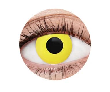 Yellow Crow Contact Lenses (1 Year)
