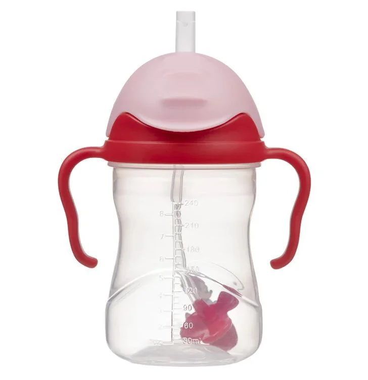 Minnie Mouse Sippy Cup