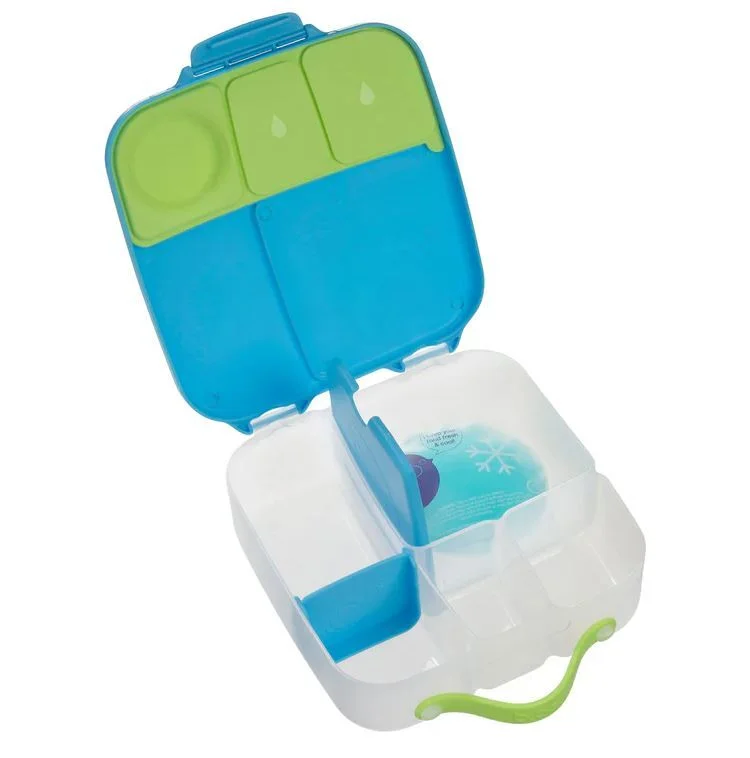 Ocean Breeze Lunchbox