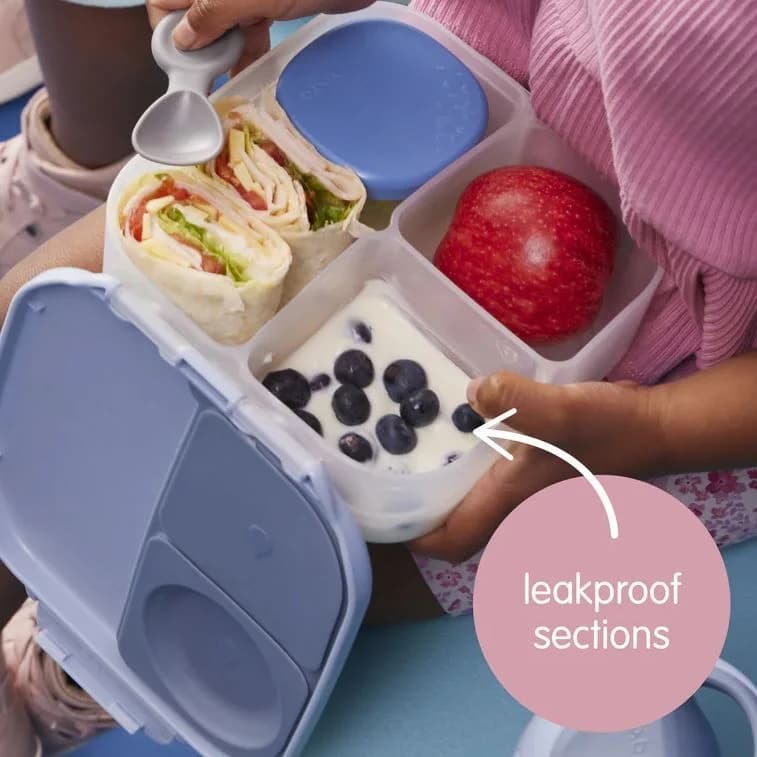 Ocean Breeze MINI Lunchbox