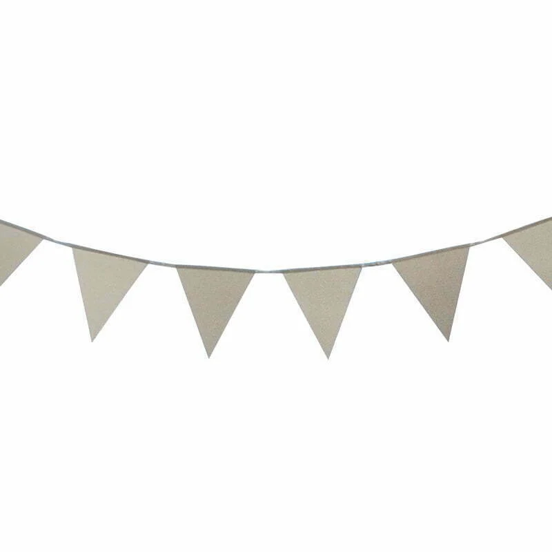 Silver Glitter Pennant Bunting (3M)