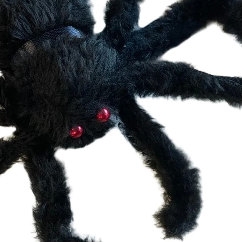 Black spider prop, close-up of red eyes