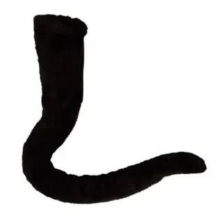 Long Mouse or Cat Tail