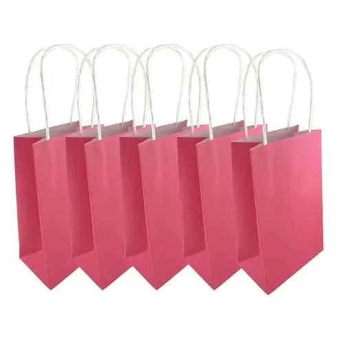Fuchsia Paper Party Bags - Pk 5