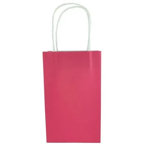 Fuchsia Paper Party Bags - Pk 5