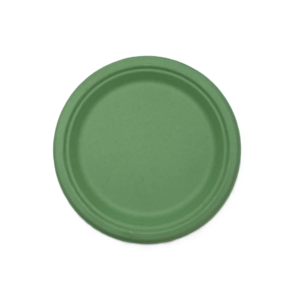 Sugar Cane Plates Pastel Green (18cm) – Pk 25
