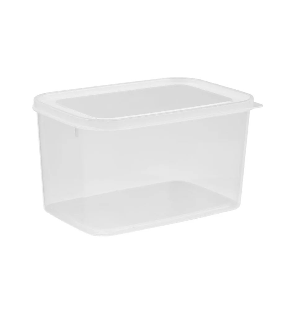 2.5L Clear Storage Container – 1 Pack