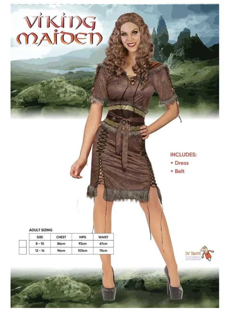 Viking Maiden Costume