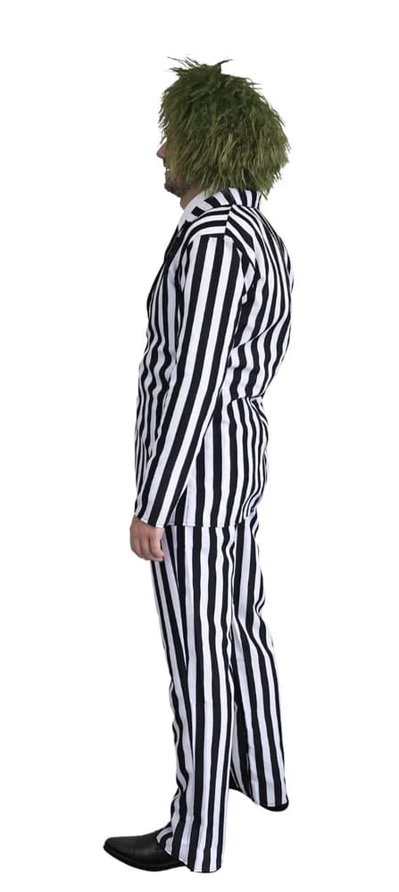 Beetle Time Costume - Adults