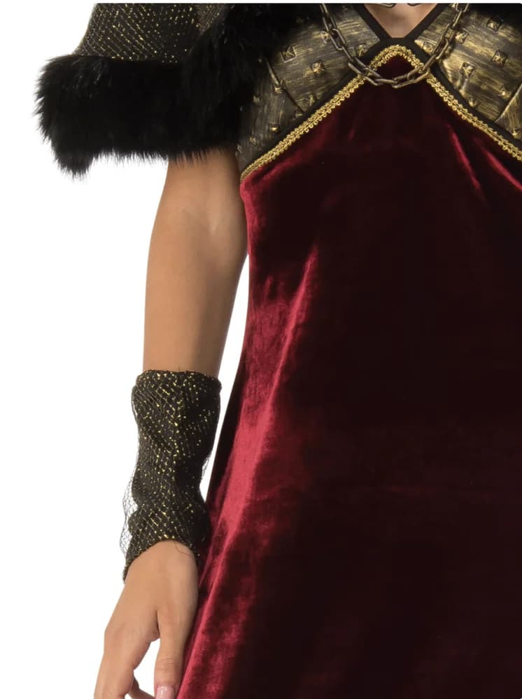 Medieval Lady Costume