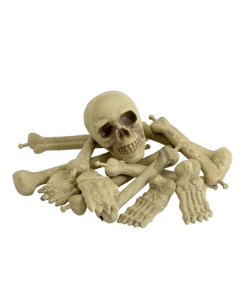 Bag Of Bones & Skull – Natural