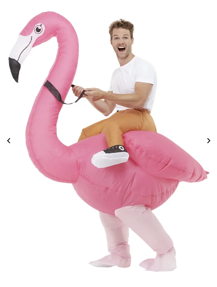 Flamingo Ride-On Inflatable Costume