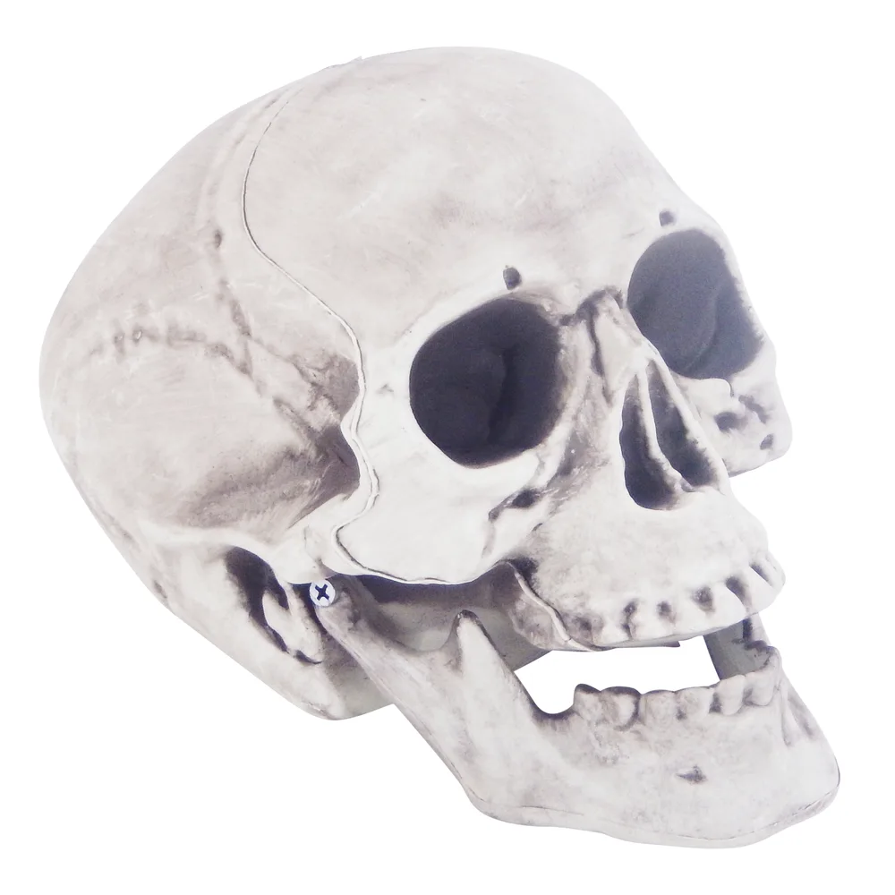 Plastic Skull 24cm