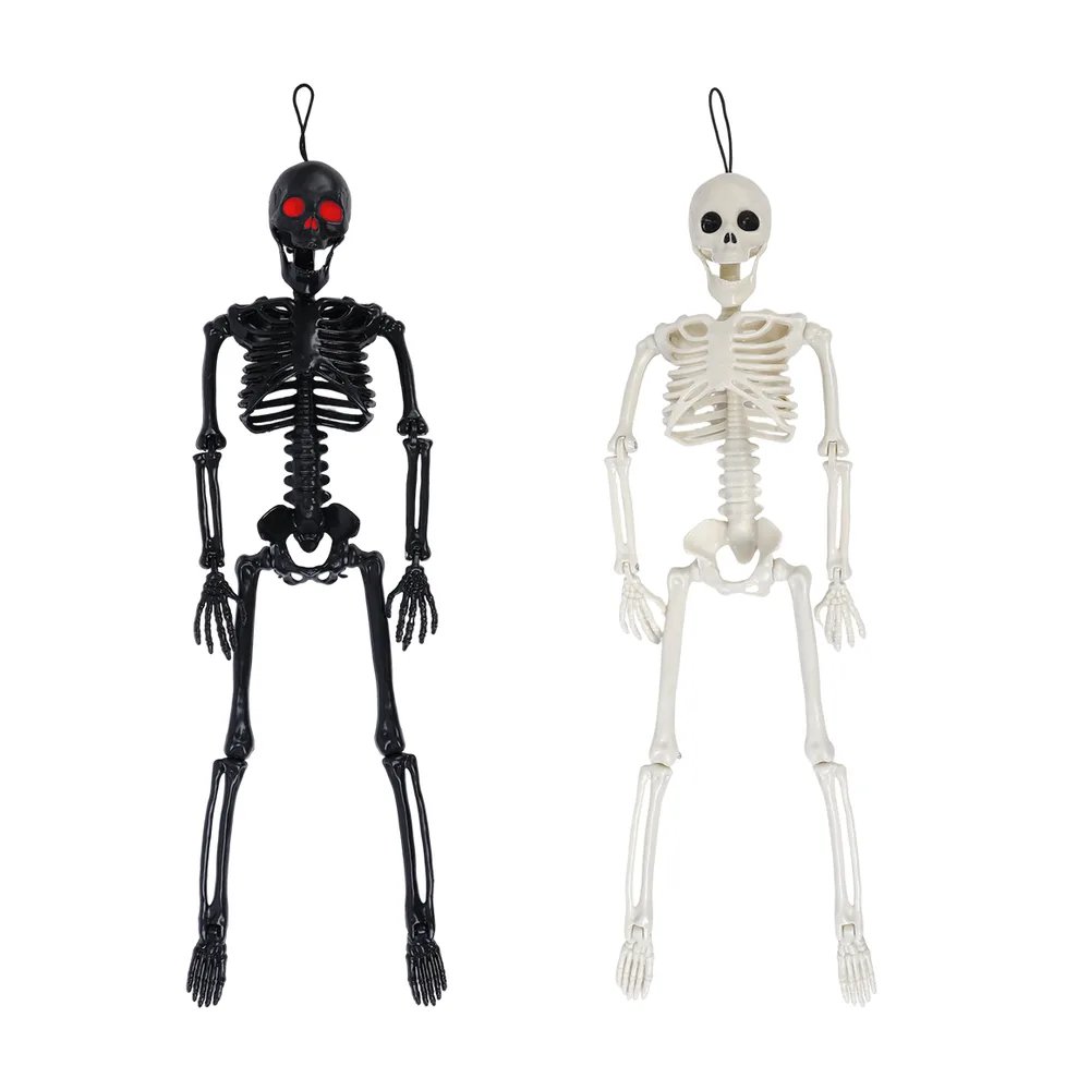 Poseable Skeleton 40cm (1 Supplied - Assorted Colours)