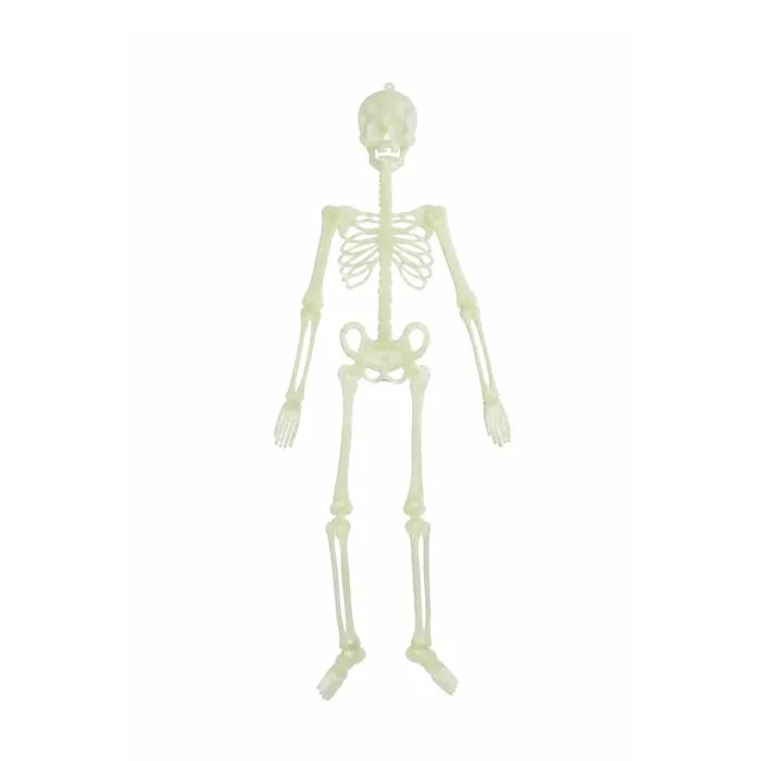 Glow in the Dark Hanging Skeleton 150cm