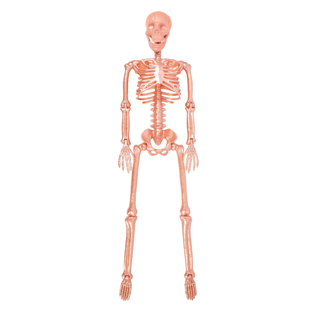 Poseable Pink Skeleton 1m