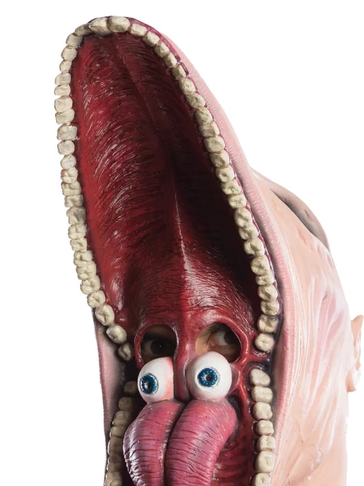 Beetlejuice Barbara Mask - Adults