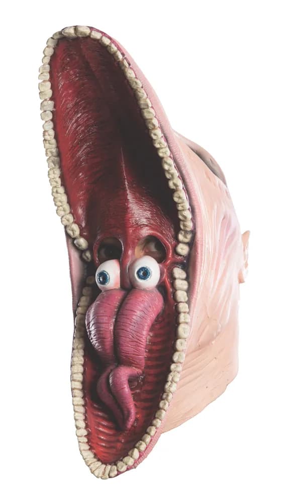 Adults Beetlejuice Barbara Mask